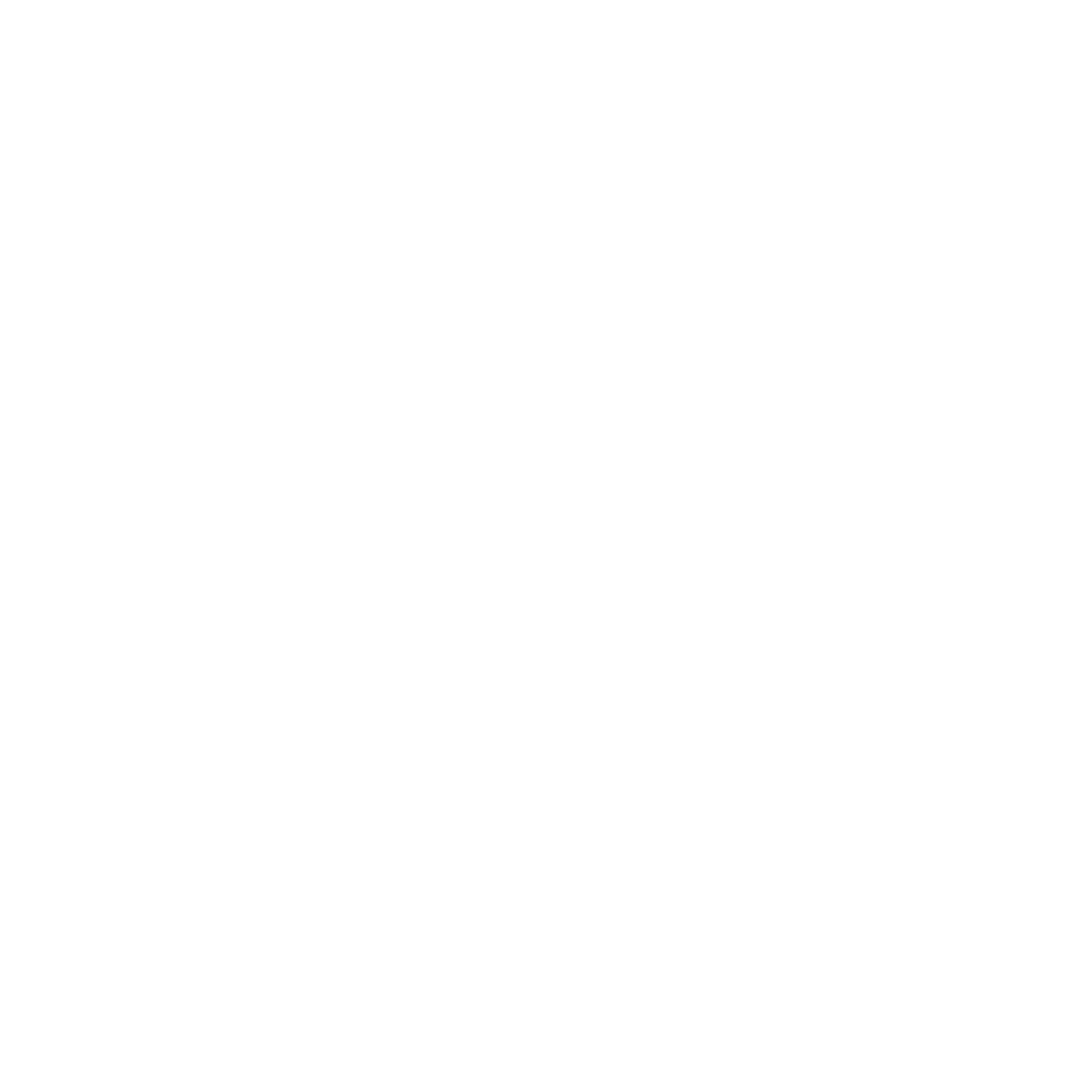 Brave logo ready